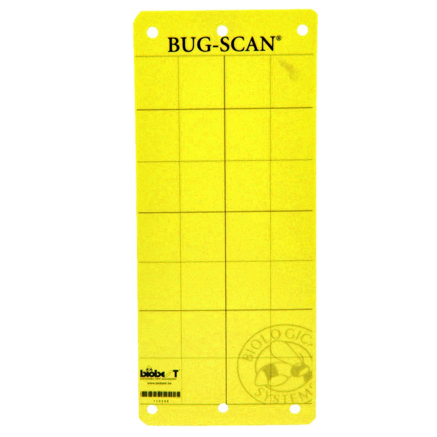 BUG-SCAN YELLOW STICKY TRAPS (20)