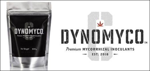 dynomyco-c_border